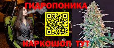 молекула духа Лесосибирск