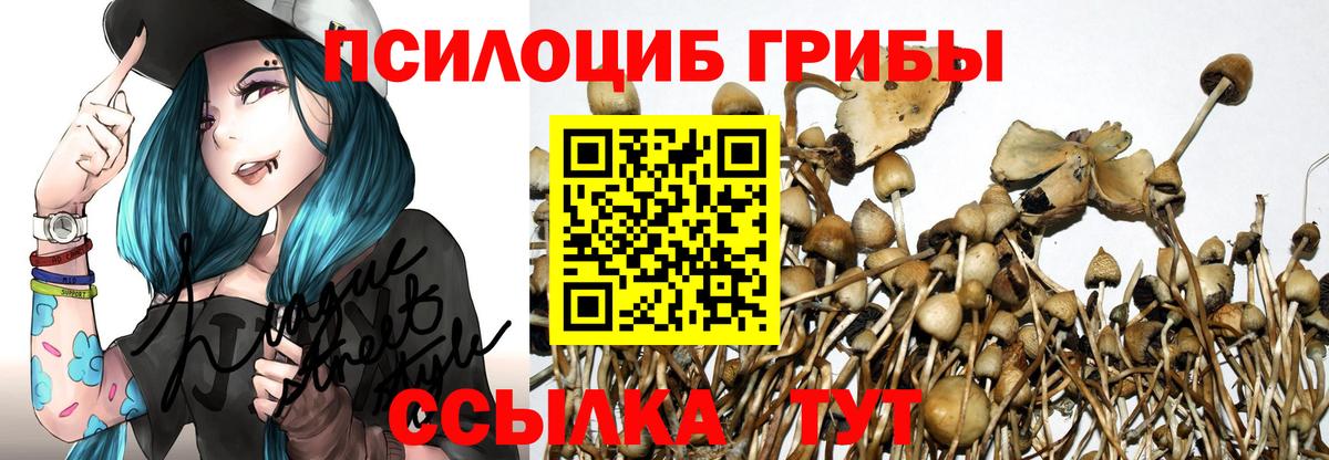 Галлюциногенные грибы мухоморы  Вход с VPN  Саров 